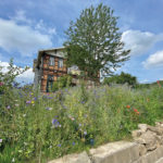 Üppige Blumenwiese von schräg unten aufgenommen, im Mittelpunkt ein Baum und dahinter das Fachwerkgebäude des Bahnhof Mirke in sehr idyllischer Gesamtkomposition. Vorne in der Wiese versteckt sich ein Notizbuch mit der Aufschrift LOGBUCH.