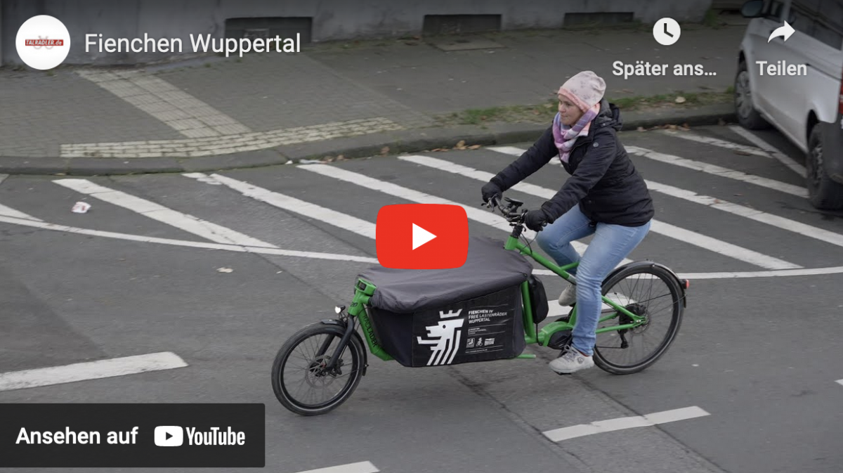 Vorschaubild der Video-Plattform Youtube zum Fienchen-Fundraisingvideo